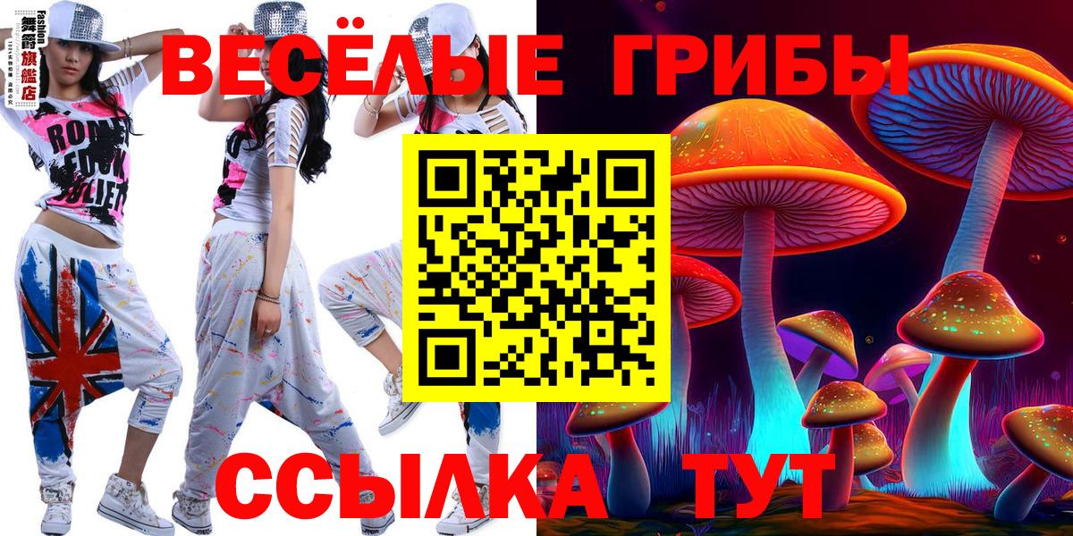 Галлюциногенные грибы Cubensis Коряжма